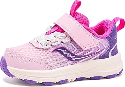 Pink/Purple