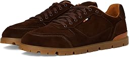 Polo Brown