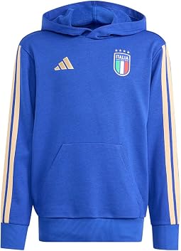 FIGC Italy Alphaskin Hoodie (Little Kid/Big Kid)