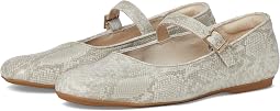Light Grey Snake