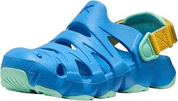 Azure Blue/Daffodil
