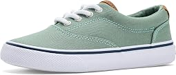 Sage Green Canvas