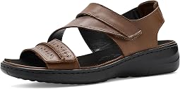 Bison Brown