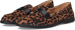 Brown Leopard