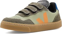 Clay/Mango/Kaki
