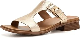 Light Champagne Leather