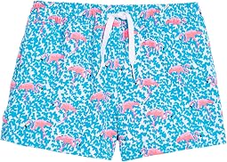 Плавки для плавания с подкладкой The Domingos Are For Flamingos (старший ребенок)