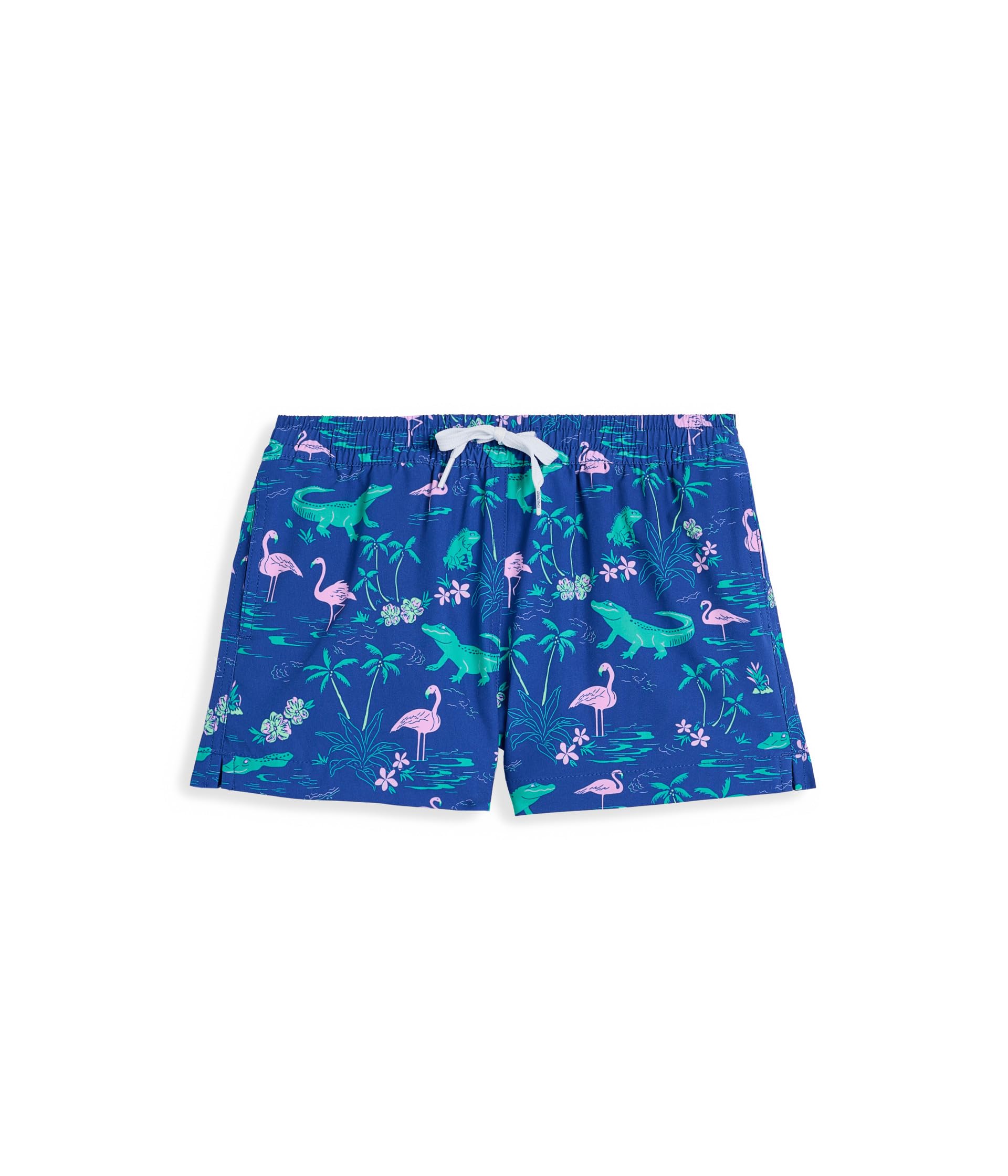 The Lil Swamp And Circumstances Swim Trunks (Infant/Toddler/Little Kid)