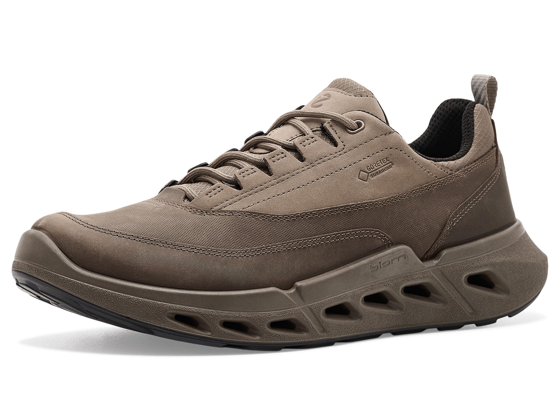 Biom 720 Gore-Tex Waterproof Leather