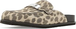 Cheetah Spots