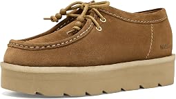Bronze Suede