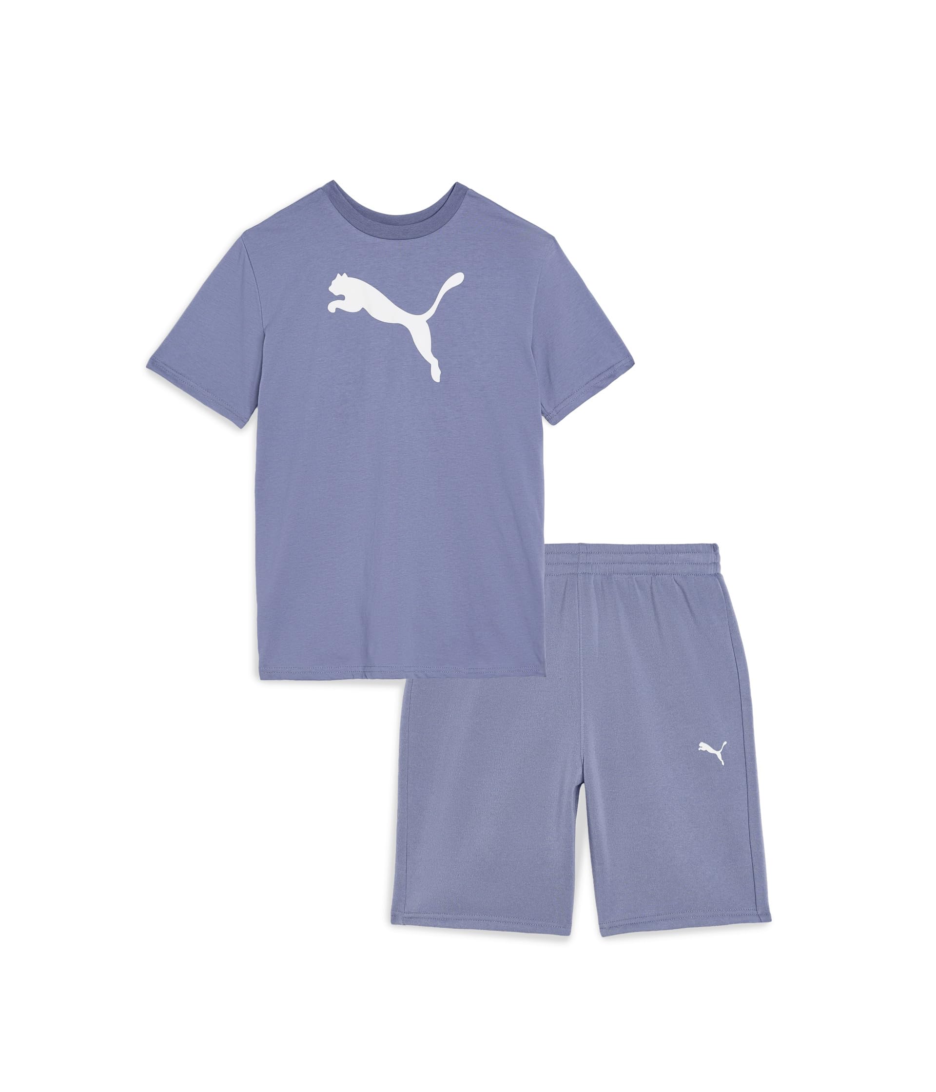 Big Cat T-Shirt & Fleece Shorts Set (Toddler/Little Kid/Big Kid))