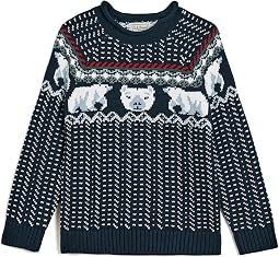Cotton Rollneck Sweater (Big Kid)