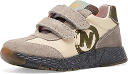 Taupe 1