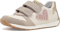 Taupe 1