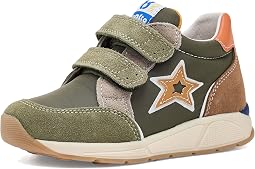 Militare
