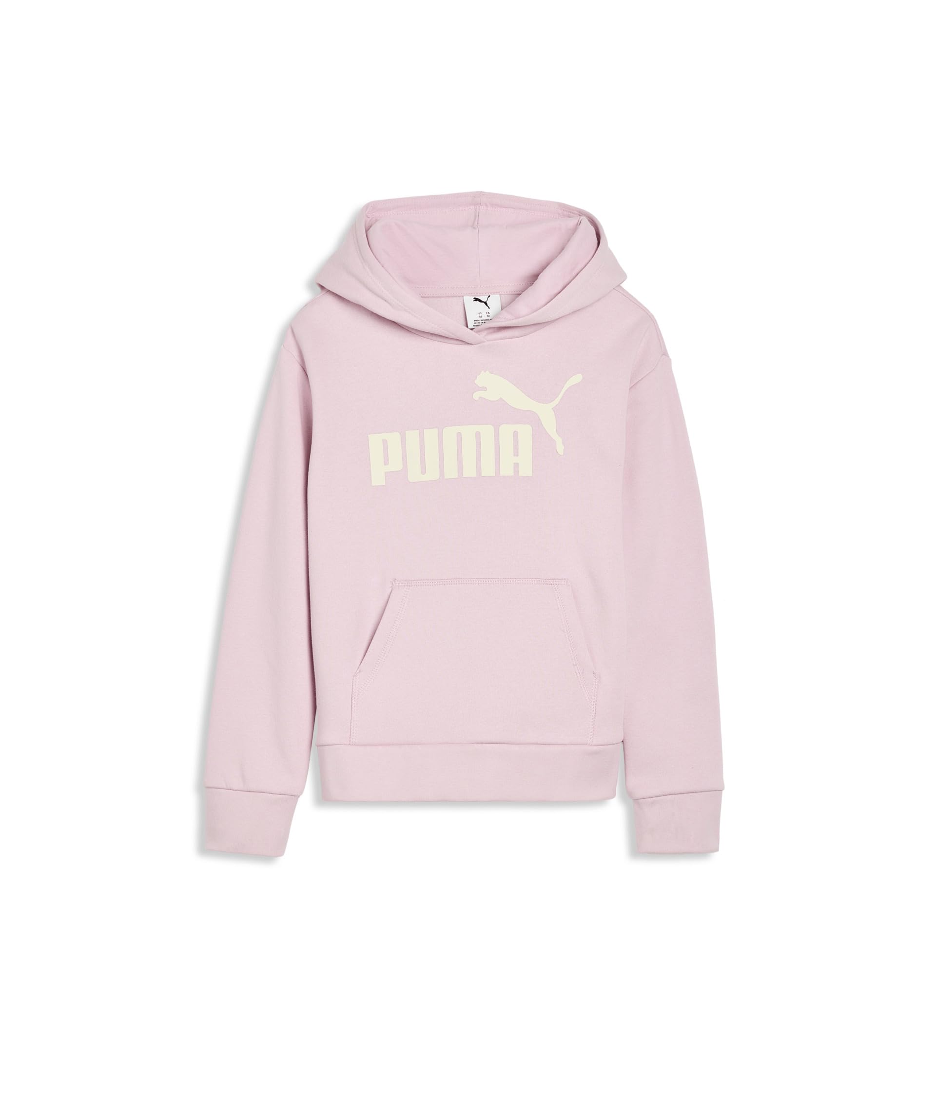 Foundations Fleece Pullover Hoodie (Big Kid)