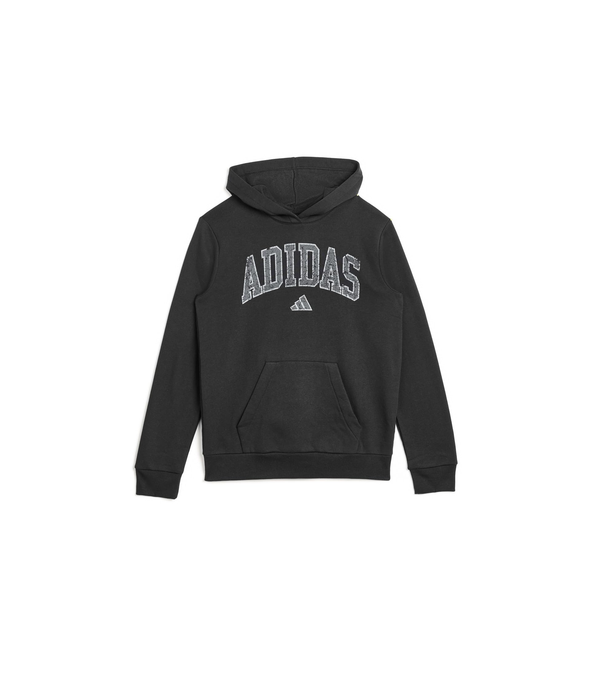 Collegiate Arch Fleece Hooded Pullover (Big Kid)