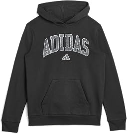 Collegiate Arch Fleece Hooded Pullover (Big Kid)