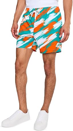 Классические плавки-бермуды The Color Blitz Dolphins 5,5" с подкладкой