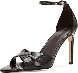 Dark Brown Snake