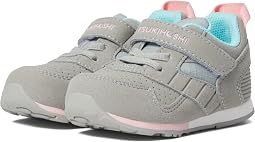 Gray/Pink
