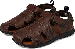 Brown 1