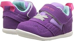 Purple/Lavender
