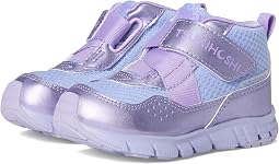 Lavender/Lilac