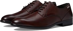 Olmo