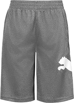 PUMA Kids мужские спортивные шорты Core Essential