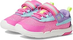Pink Multi
