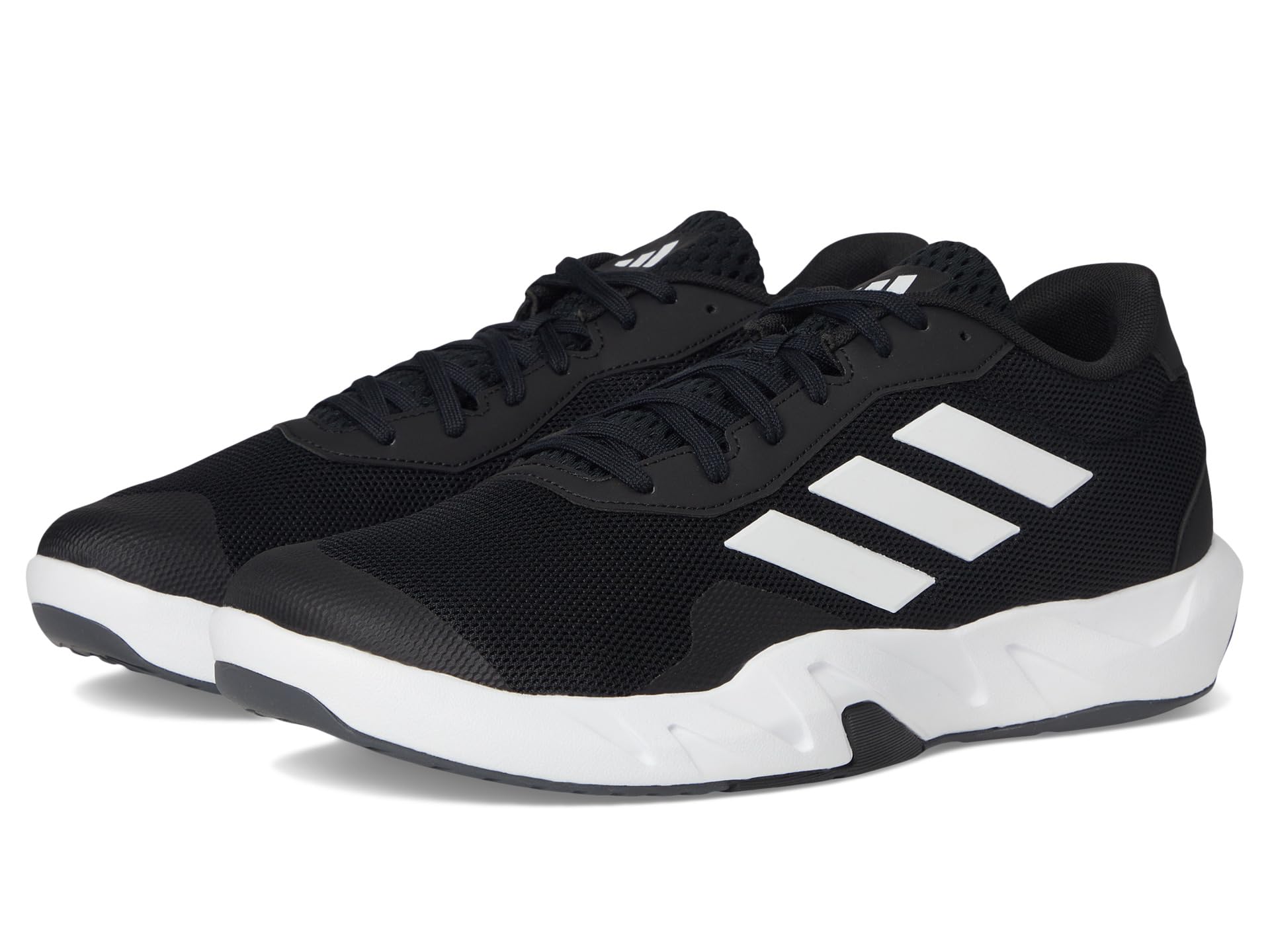 Amplimove Trainer