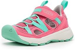 Pink Lemonade/Cabbage
