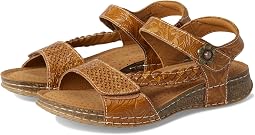 Camel Multi