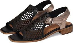 Black Multi